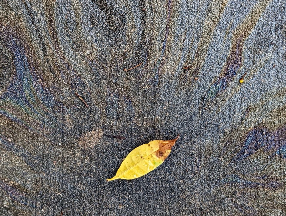 Leaf 3